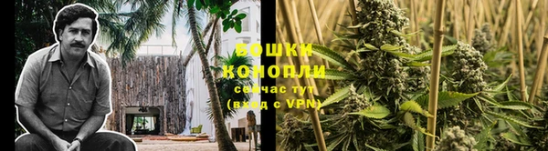 эйфоретик Володарск
